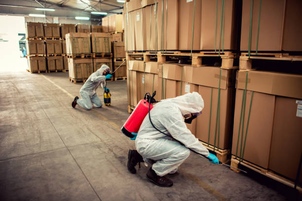 Best Pest Prevention Services  in Park Hills, KY