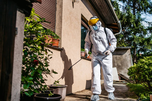 Bird Control in Park Hills, KY