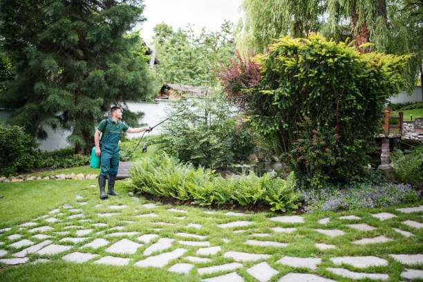 Best Emergency Pest Control  in Park Hills, KY