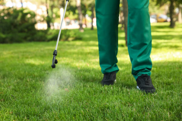 Best Pest Control Near Me  in Park Hills, KY